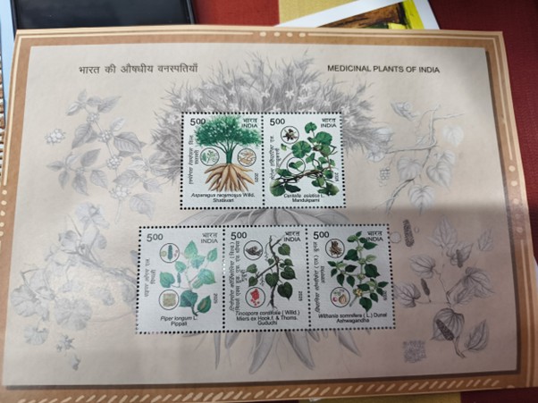 India Post: taking literature on a journey